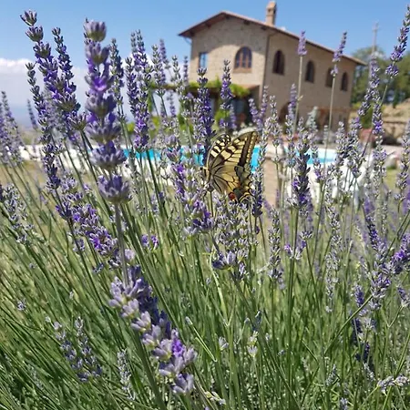 Bella Costa Villa Monticello Amiata