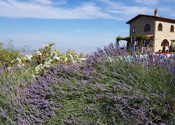 Bella Costa * Monticello Amiata